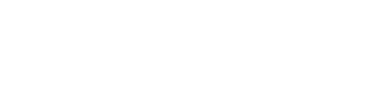 Revons Holding